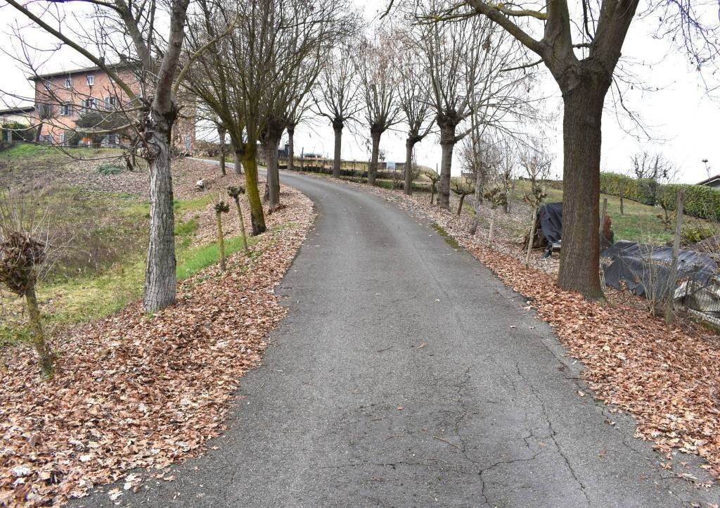 Terreno - Rustico via Giovanni Sodano, Isola d'Asti - foto 3