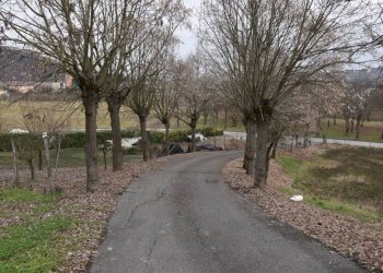 Terreno - Rustic via Giovanni Sodano, Isola d'Asti - photo 2