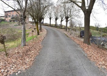 Terreno - Rustic via Giovanni Sodano, Isola d'Asti - photo 3