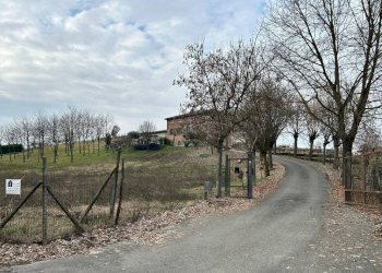 Terreno - Rustic via Giovanni Sodano, Isola d'Asti - photo 5