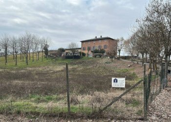 Terreno - Rustic via Giovanni Sodano, Isola d'Asti - photo 6