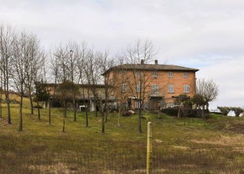 Terreno - Rustic via Giovanni Sodano, Isola d'Asti - photo 7