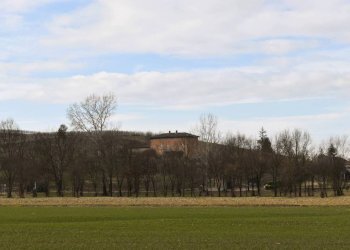 Terreno - Rustic via Giovanni Sodano, Isola d'Asti - photo 11