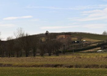 Terreno - Rustic via Giovanni Sodano, Isola d'Asti - photo 12