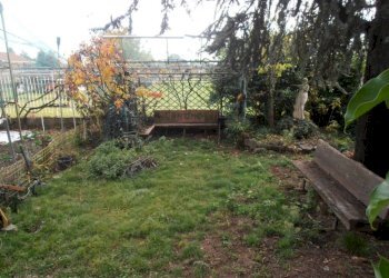 Terreno - Villa Alpignano - foto 5