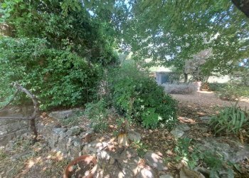 Giardino - Villa via delle Serre, Firenze - foto 5