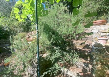 Giardino - Villa via delle Serre, Firenze - foto 9