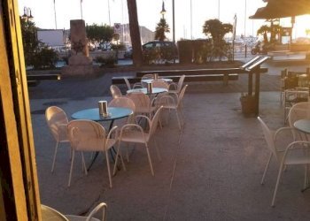 Terrazzo - Bar Tavola Calda - Fredda Imperia - foto 7