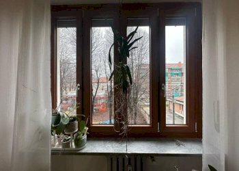 Cucina - Trilocale via Vittorio Zanellato, 23, Venaria Reale - foto 12