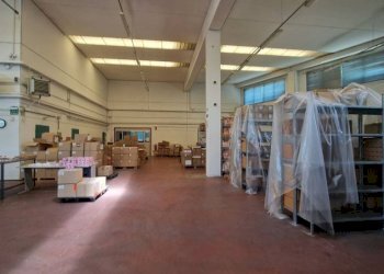 Magazzino - Capannone via Enrico Mattei, Pogliano Milanese - foto 19