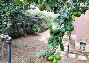 Giardino - Quadrilocale largo Caboto, 4, Anzio - foto 37