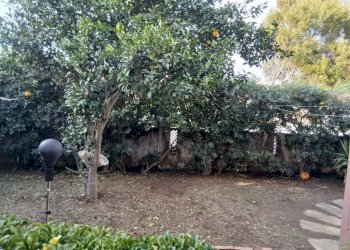 Giardino - Quadrilocale largo Caboto, 4, Anzio - foto 42