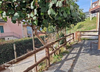 Giardino - Bilocale Bargagli - foto 5