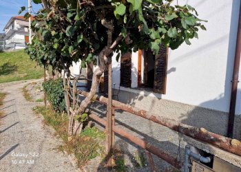 Giardino - Bilocale Bargagli - foto 6