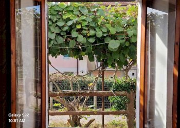 Vista - Bilocale Bargagli - foto 15