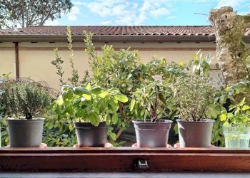 Foto 22 - Casa semi indipendente Duca degli Abruzzi, Forte dei Marmi - foto 22