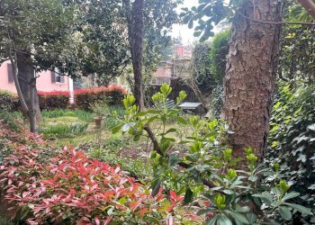 Appartamento Bologna (zona San Mamolo) - foto 21