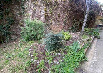 Appartamento Bologna (zona San Mamolo) - foto 23