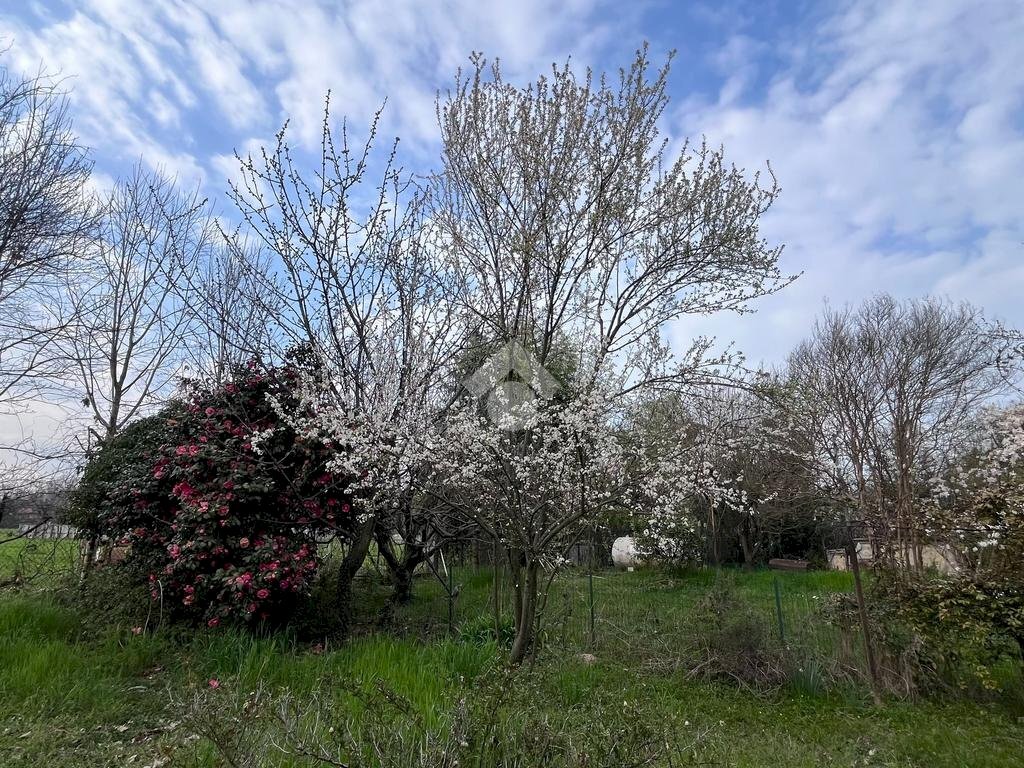 Casa semi indipendente Via Costa, San Francesco al Campo - foto 3