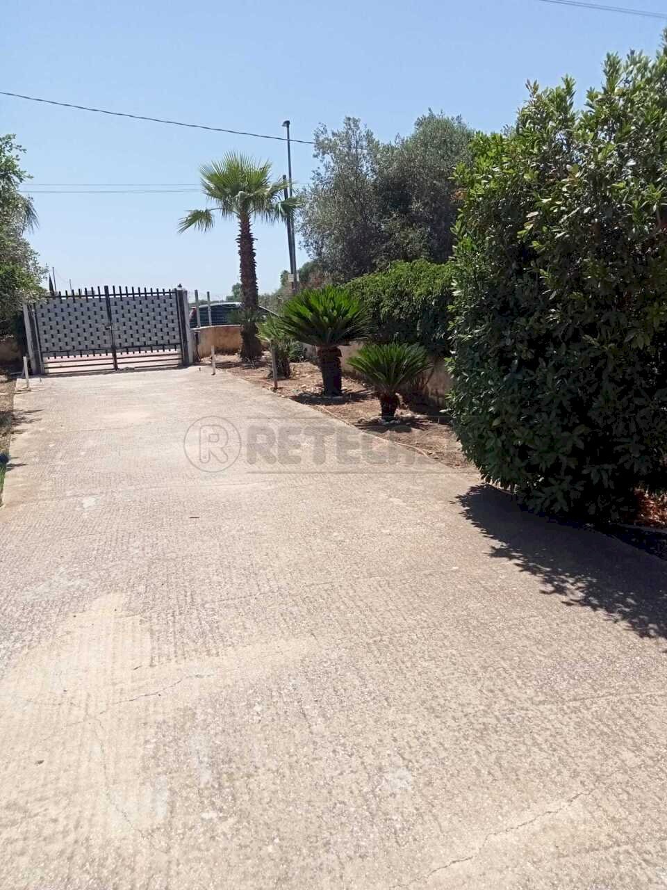 foto 2.jpg - Villa Castelvetrano - foto 3