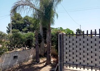 foto 20.jpg - Villa Castelvetrano - foto 1