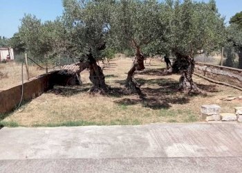 foto 7.jpg - Villa Castelvetrano - foto 4