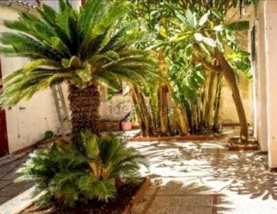 3.jpg - Villa Marsala - foto 2