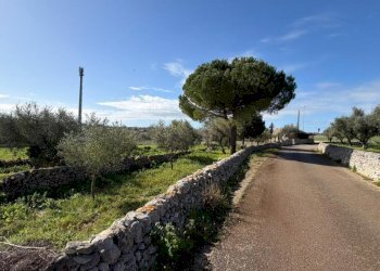 WhatsApp Image 2026-01-21 at 10.52.16 (2).jpeg - Villa SP94 223, Modica - foto 6