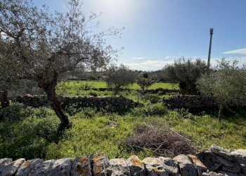 WhatsApp Image 2026-01-21 at 10.52.16.jpeg - Villa SP94 223, Modica - foto 7