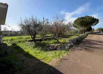 WhatsApp Image 2026-01-21 at 10.52.17 (1).jpeg - Villa SP94 223, Modica - foto 8