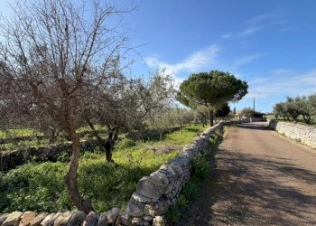 WhatsApp Image 2026-01-21 at 10.52.17.jpeg - Villa SP94 223, Modica - foto 14