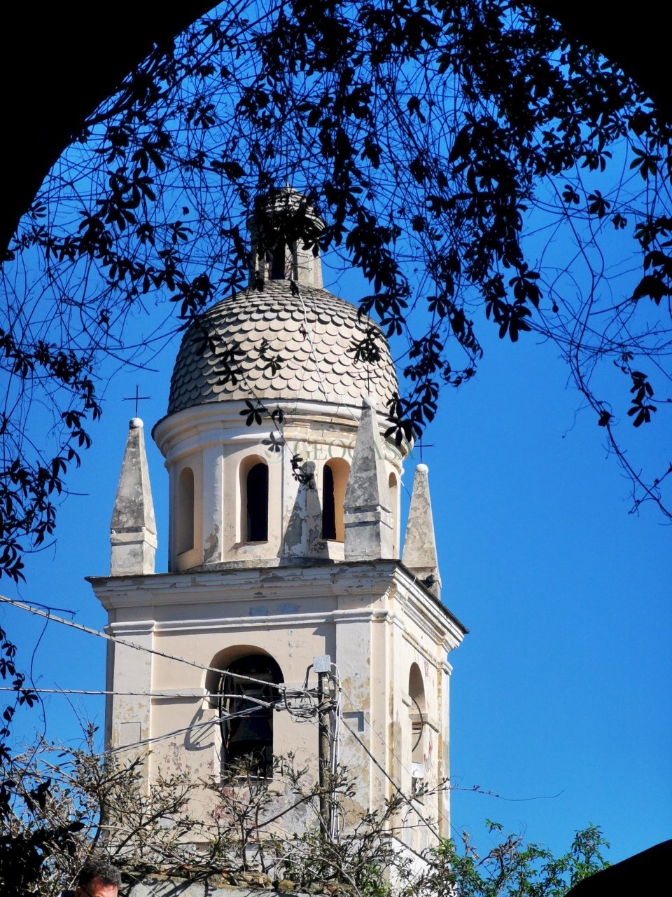 Trebiano - Townhouse Arcola - photo 1