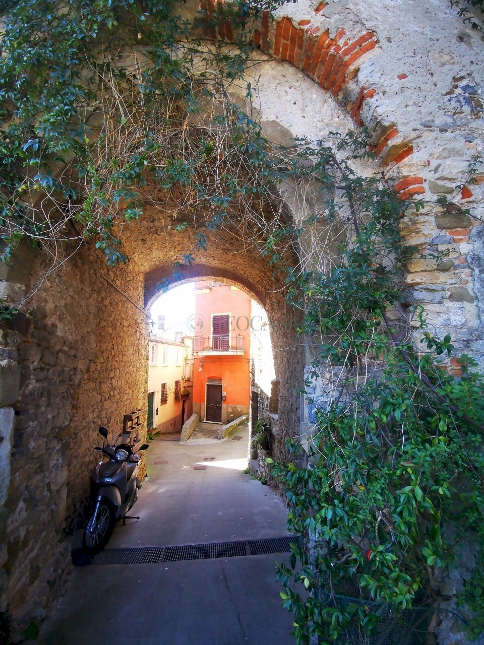 IMG_20260316_104245.jpg - Townhouse Arcola - photo 3