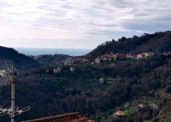 vista - Terratetto - Terracielo Arcola - foto 5
