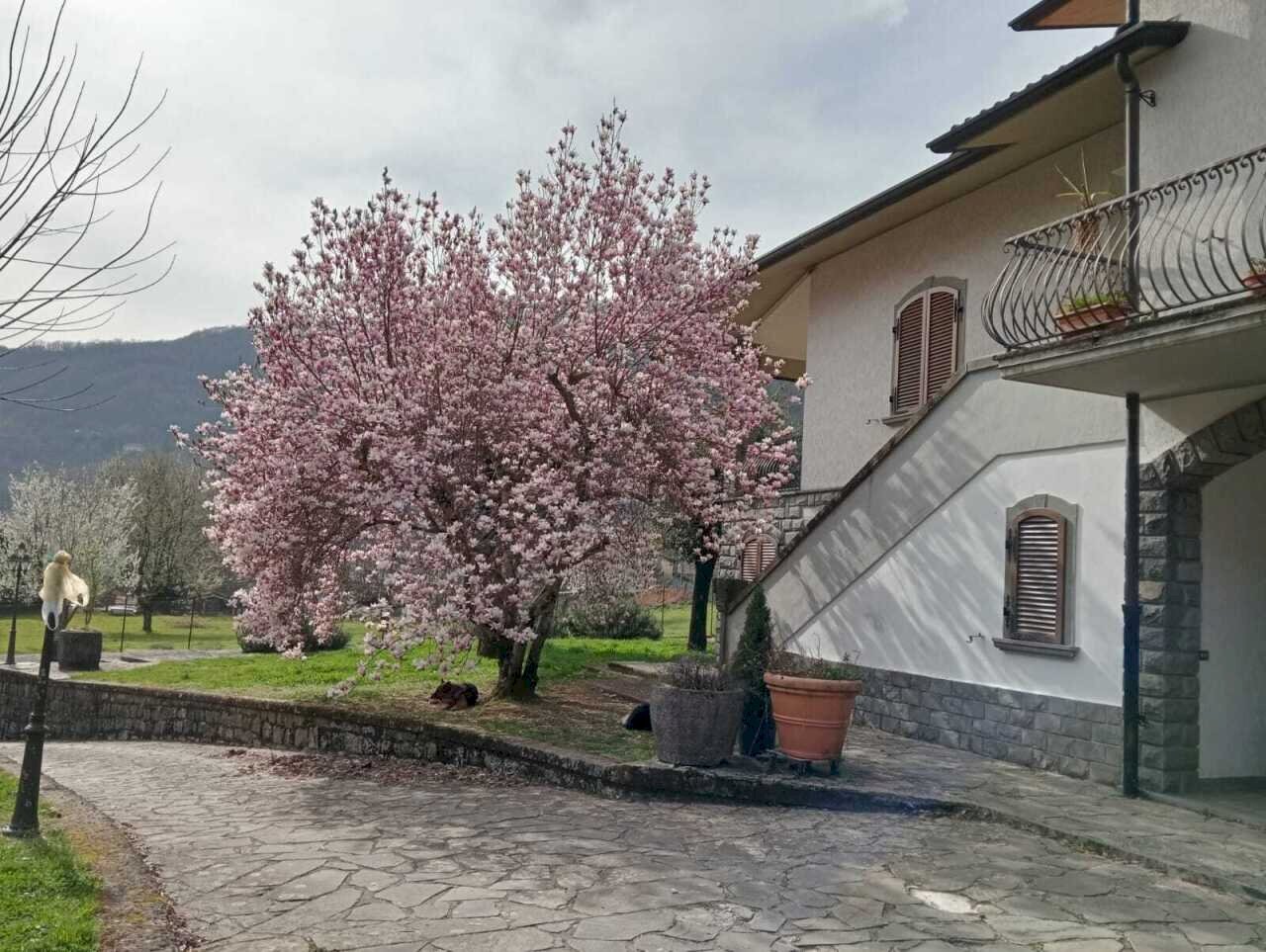 WhatsApp Image 2026-03-05 at 14.10.01.jpeg - Villa Licciana Nardi - foto 2