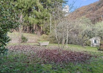 IMG-20251126-WA0027.jpg - Villa Licciana Nardi - foto 9