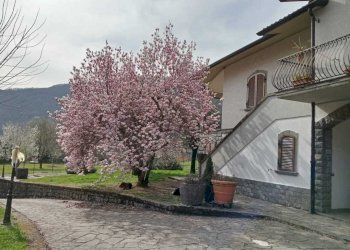 WhatsApp Image 2026-03-05 at 14.10.01.jpeg - Villa Licciana Nardi - foto 2