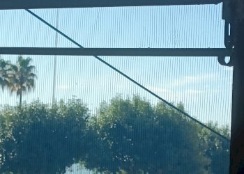 IMG20251126104405.jpg - Appartamento Via Sauli 12, Sori - foto 21