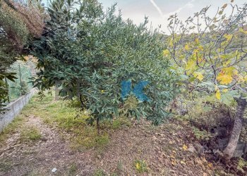 22.png - Villa Regione Fenarina 5, Alassio - foto 30