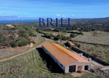 Villa Località L'Agnata, Aglientu - foto 20