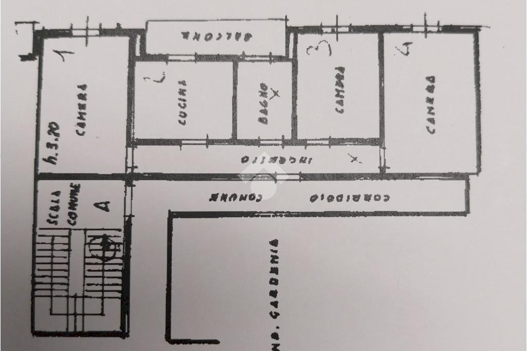 Trilocale Via g. ricci curbastro, Lugo - planimetria 1