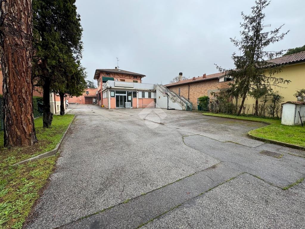 Shop Via Minella, Bagnacavallo - photo 1