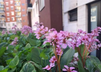 Loft Via Chianciano, Milano (neighborhood Affori) - photo 1