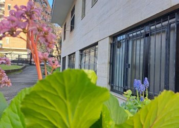 Loft Via Chianciano, Milano (neighborhood Affori) - photo 7