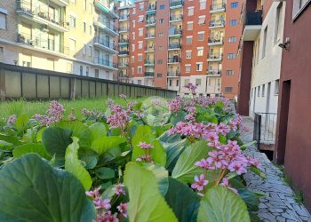 Loft Via Chianciano, Milano (neighborhood Affori) - photo 8