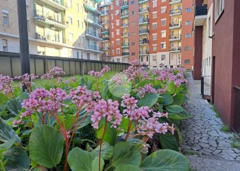 Loft Via Chianciano, Milano (neighborhood Affori) - photo 9