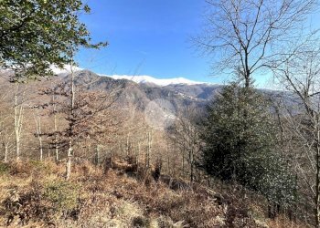 Rustico Frazione Bariola, Campiglia Cervo - foto 4