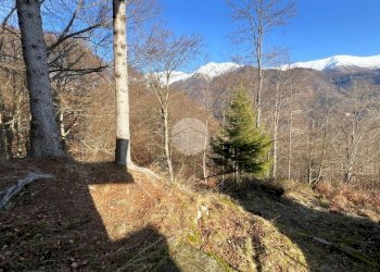 Rustico Frazione Bariola, Campiglia Cervo - foto 29