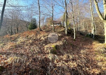 Rustico Frazione Bariola, Campiglia Cervo - foto 30