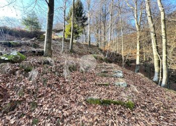 Rustico Frazione Bariola, Campiglia Cervo - foto 31